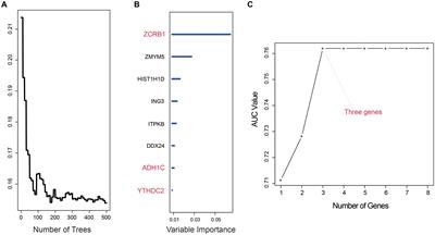 Identification of the Signature Associated With m6A RNA Methylation Regulators and m6A-Related Genes and Construction of the Risk Score for Prognostication in Early-Stage Lung Adenocarcinoma